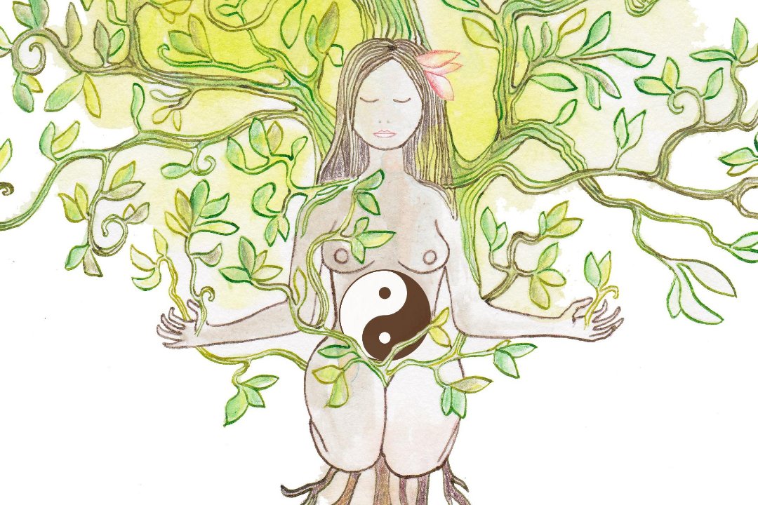 l'Équilibre au Naturel by Eliana's hands, Gosselies, Charleroi