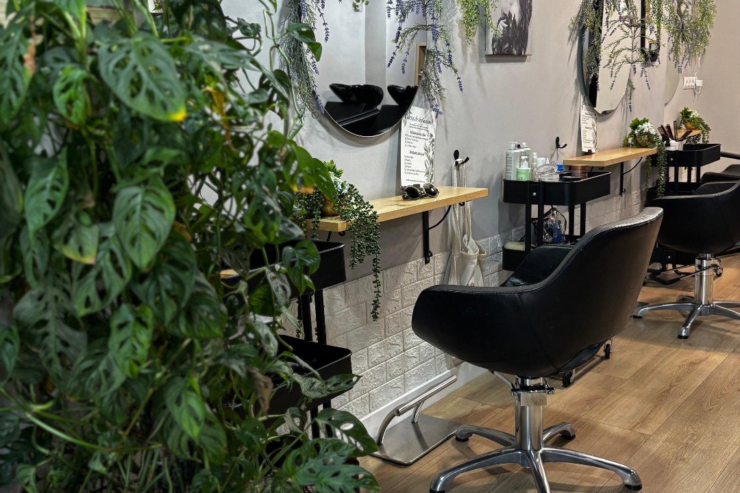Karol Miller Ecological Hairdressers, Nucli Sant Cugat del Vallès, Provincia de Barcelona