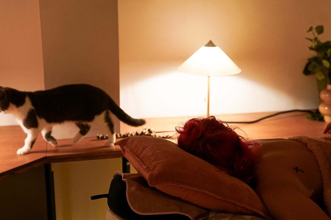 Purrfect Space, Seven Dials, Brighton and Hove