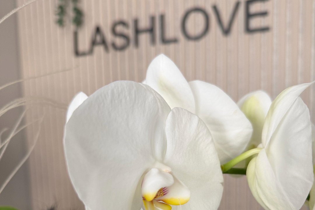 Lashlove Wolfsburg, Wolfsburg