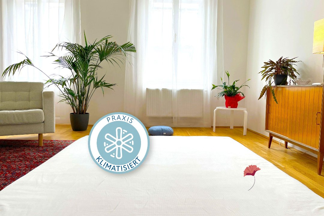 Shiatsu Praxis – Daniela Seiler, 1. Bezirk, Wien