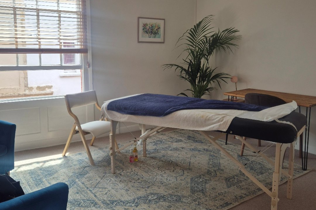 H. M. Holistics, Montpelier, Bristol