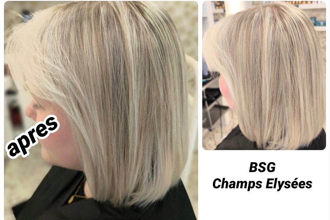 BSG Salon(Champs Elysée), Avenue des Champs-Elysées, Paris
