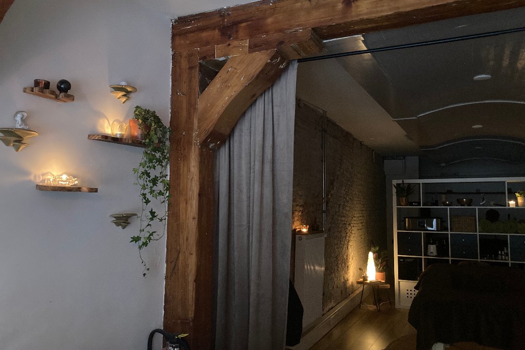 Studio Rooted, Binnenstad-West, Alkmaar
