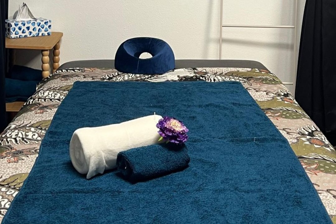 Cempaka Sari, Pijnacker Centrum, Zuid-Holland