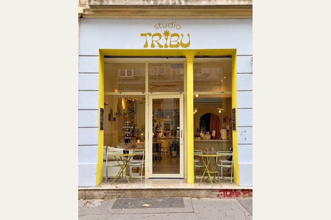 CONSCIOUS AURA, 8ème arrondissement, Marseille