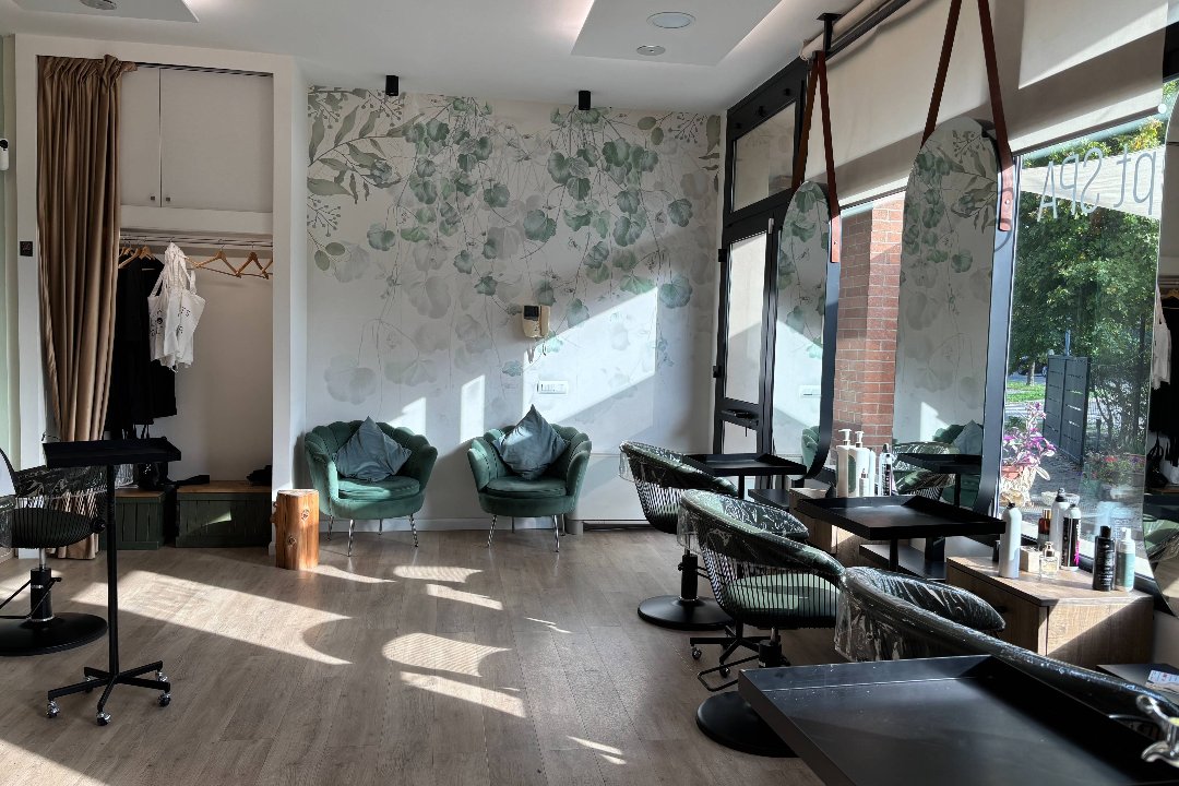 MS la Spa del Capello, Reggio Emilia