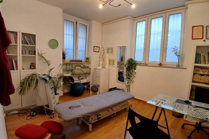 Massoterapia Clinica - Biomagnetismo