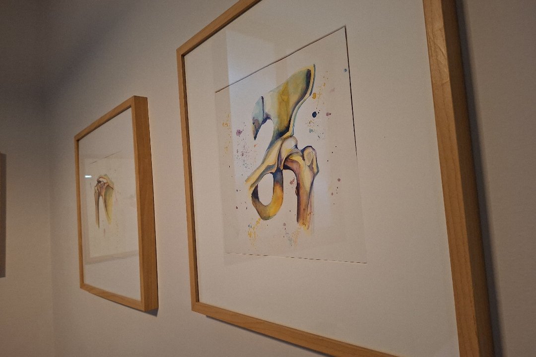 Osteopata Silvia Camesasca, Giambellino - Lorenteggio, Milano