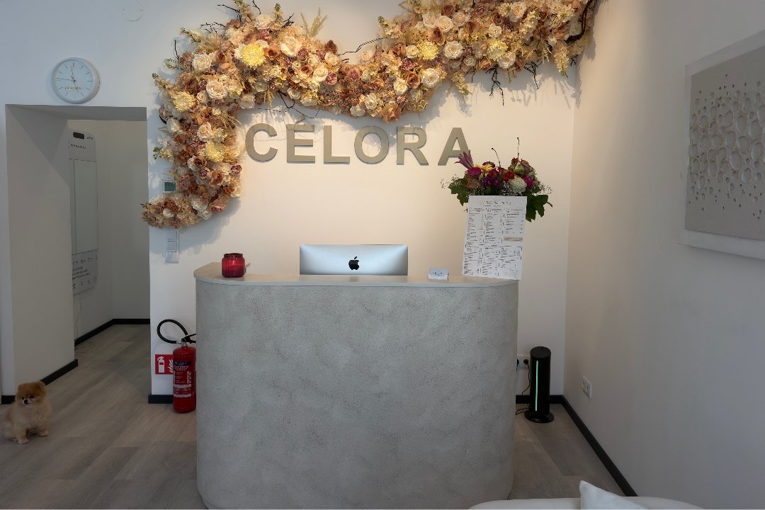 CELORA Beauty - Skin - Aesthetics, 11. Bezirk, Wien