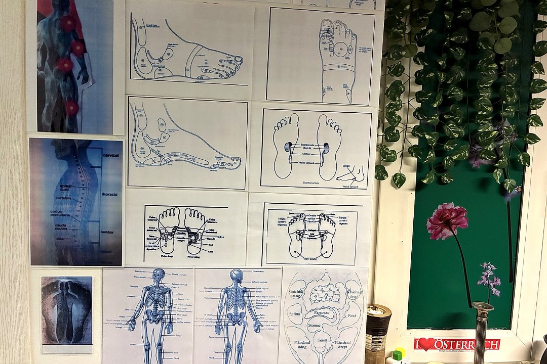 Massage Tatiana Omota, 6. Bezirk, Wien