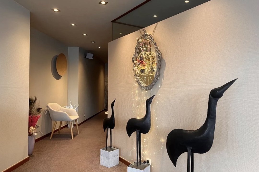 Yoga Studio, Tournai, Hainaut
