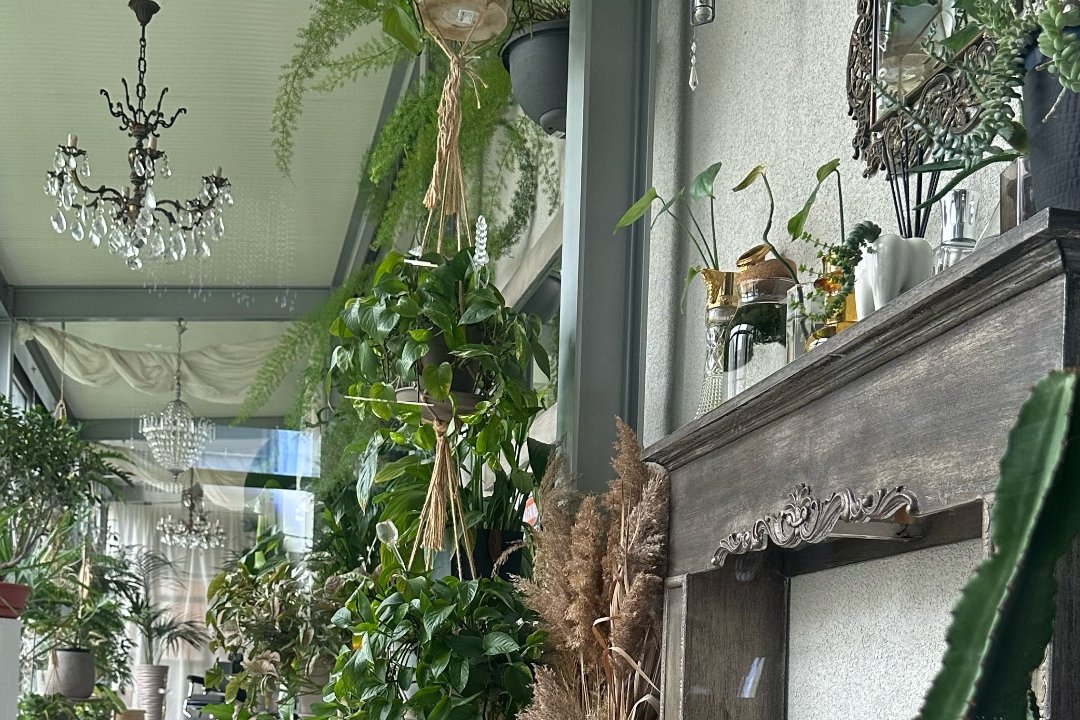 Élite Estetica Avanzata, Villaggio Giardino, Modena