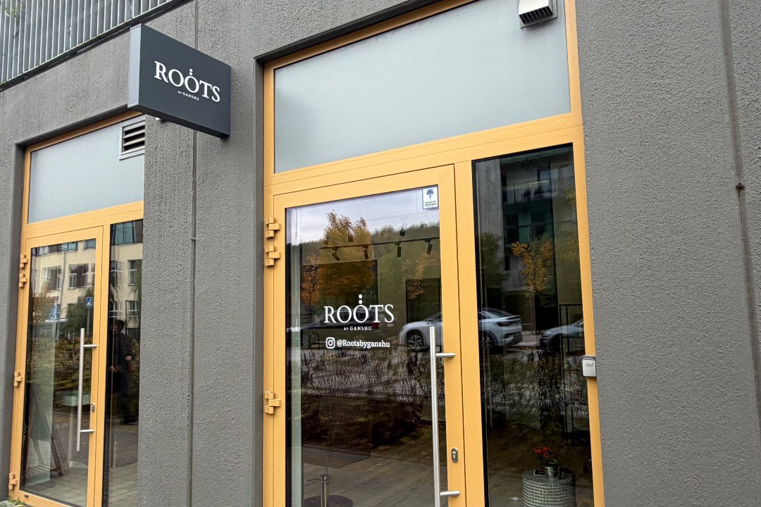 ROOTS by Ganshu, Rasos, Vilnius