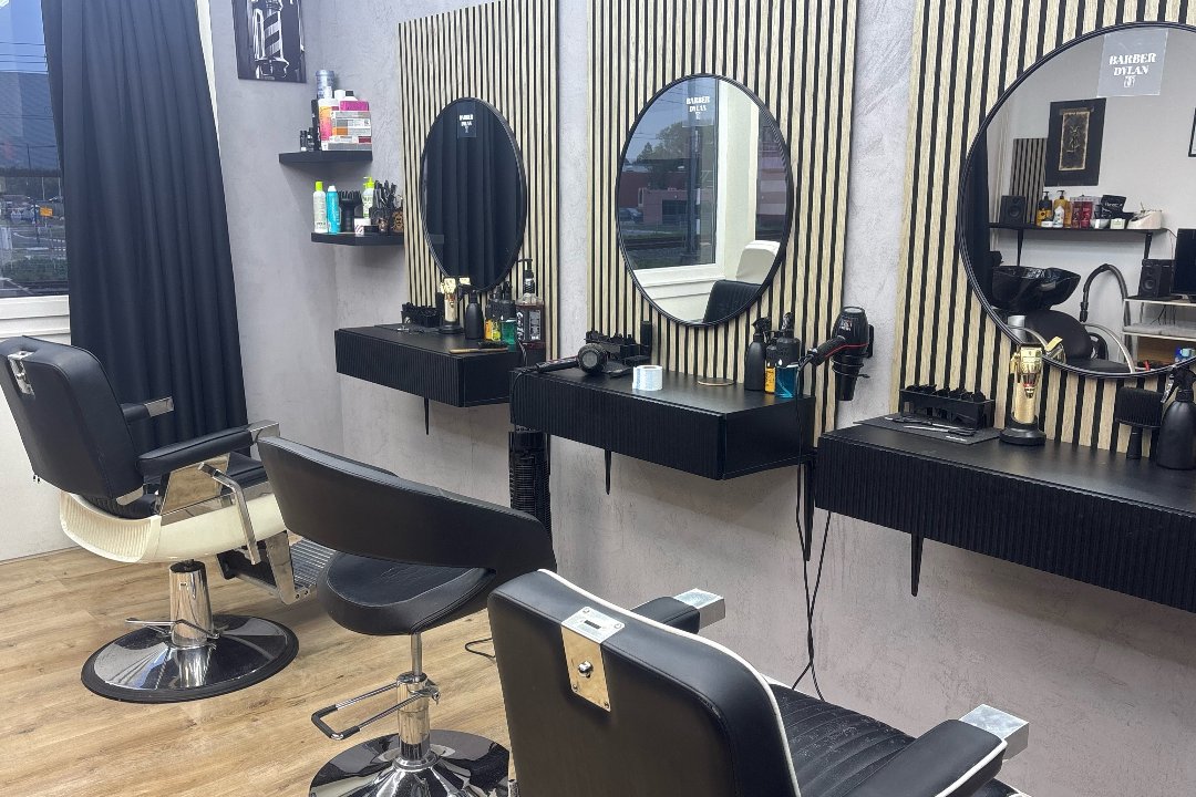 Barber Dylan, Heerhugowaard, Noord-Holland