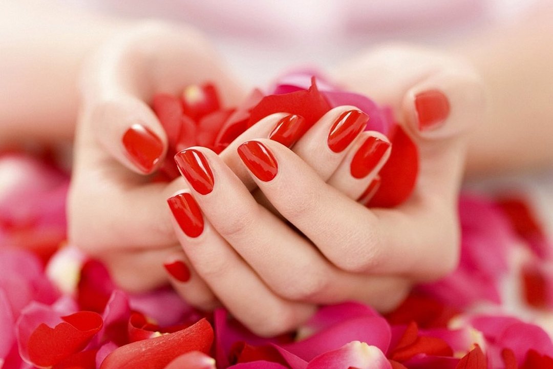 Belle, West Bridgford, Nottinghamshire