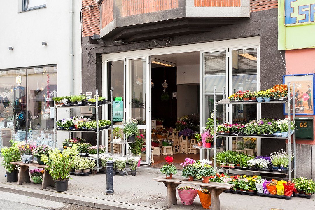 Boest Gent, Dampoortstraat, Gent