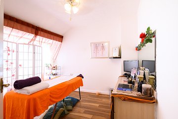 The Manchester Acupuncturist