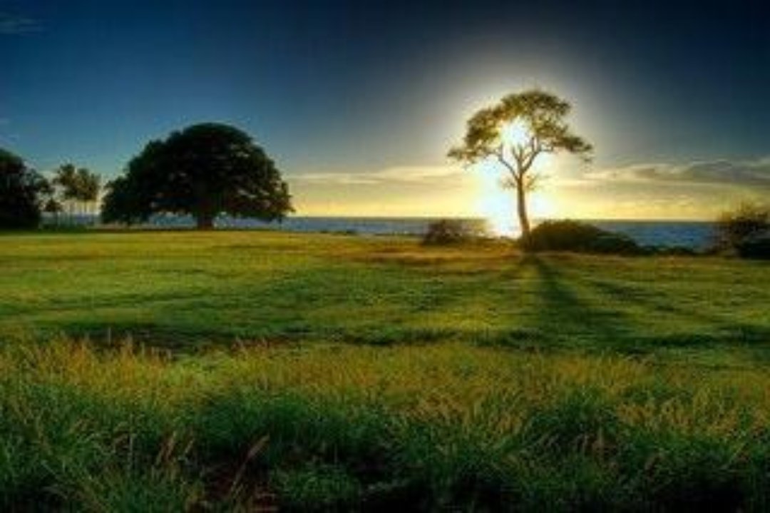 Ben Pianese Massage Therapy - Marylebone, Marylebone, London