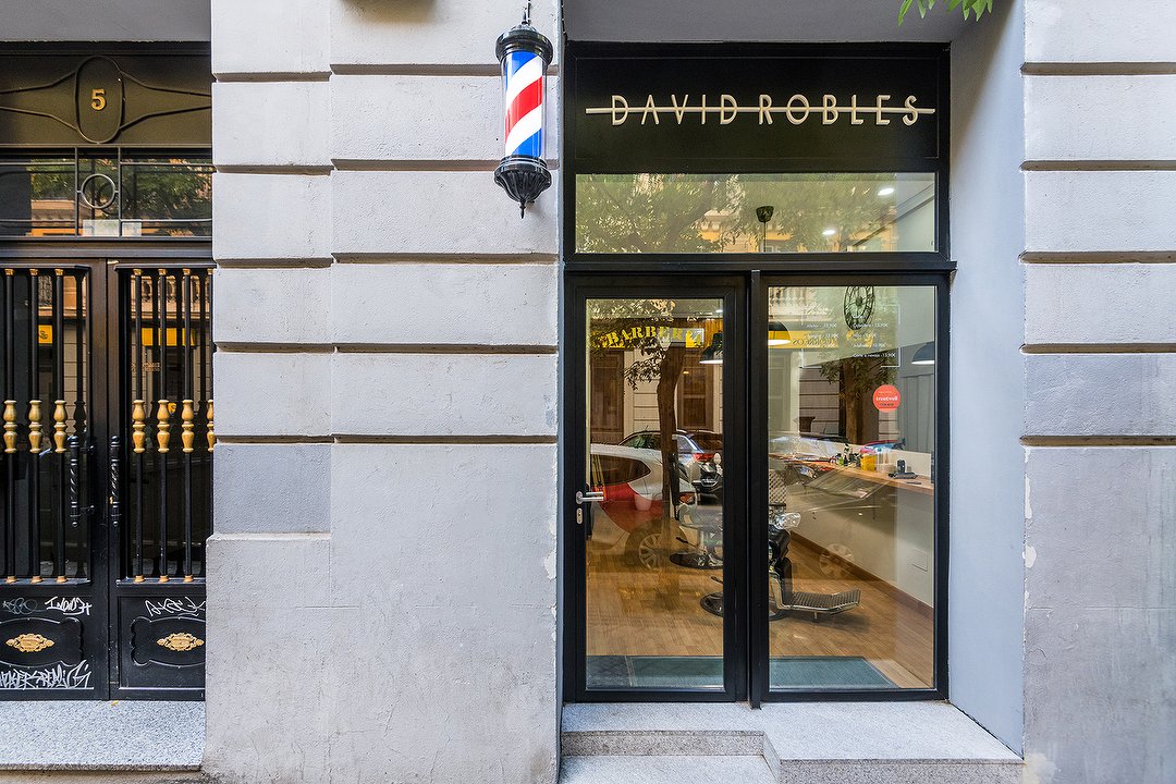 David Robles, Madrid