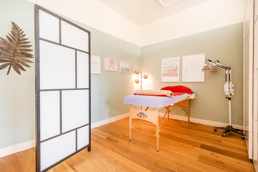 iam-acupuncture, Statenlaan, The Hague