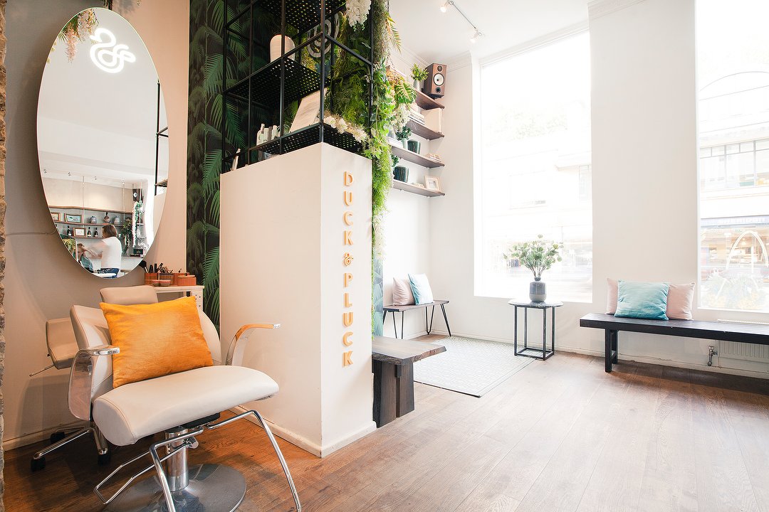 Duck & Pluck - Chelsea, Chelsea, London