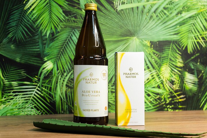dr organic aloe vera face cream Buy Dr.Organic Aloe Vera Skin Lotion Online at Best Price