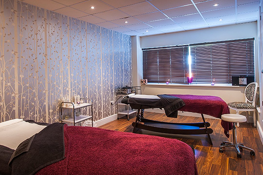Schmoo in Surrey at Hilton Cobham Hotel, Surrey