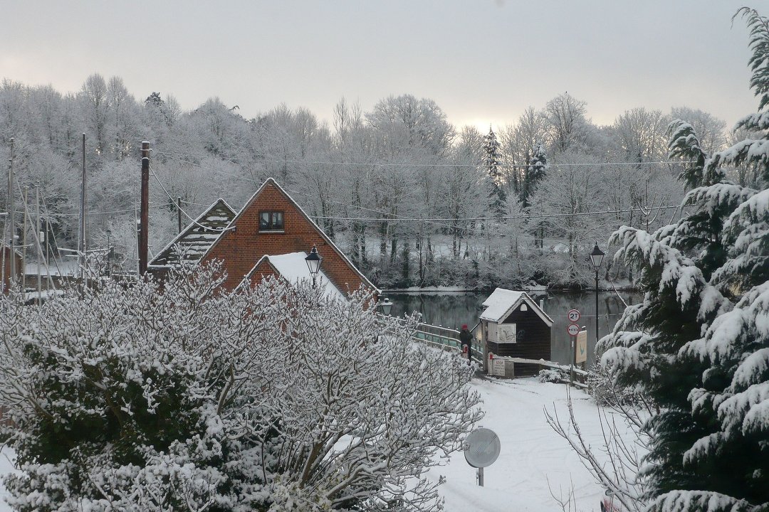 The Eling Sanctuary, Ashurst, Hampshire