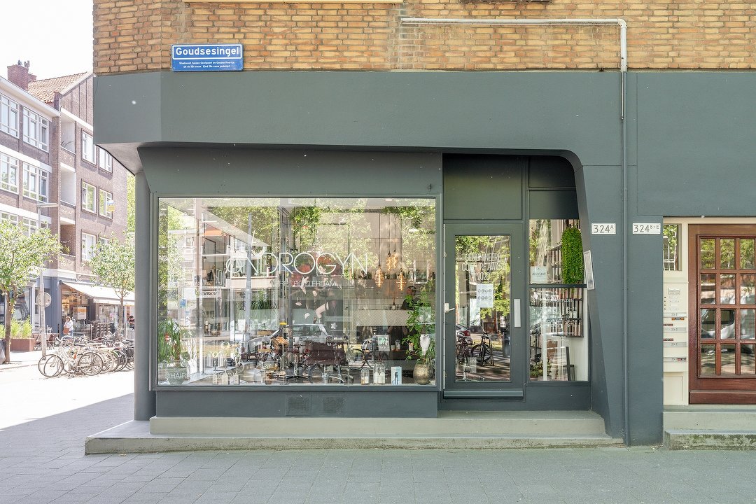 ANDROGYN, Goudsesingel, Rotterdam