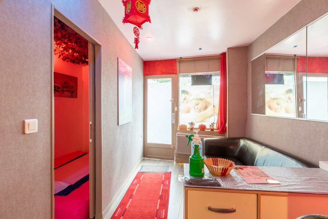 Belle Sakura, Georges Brassens, Paris