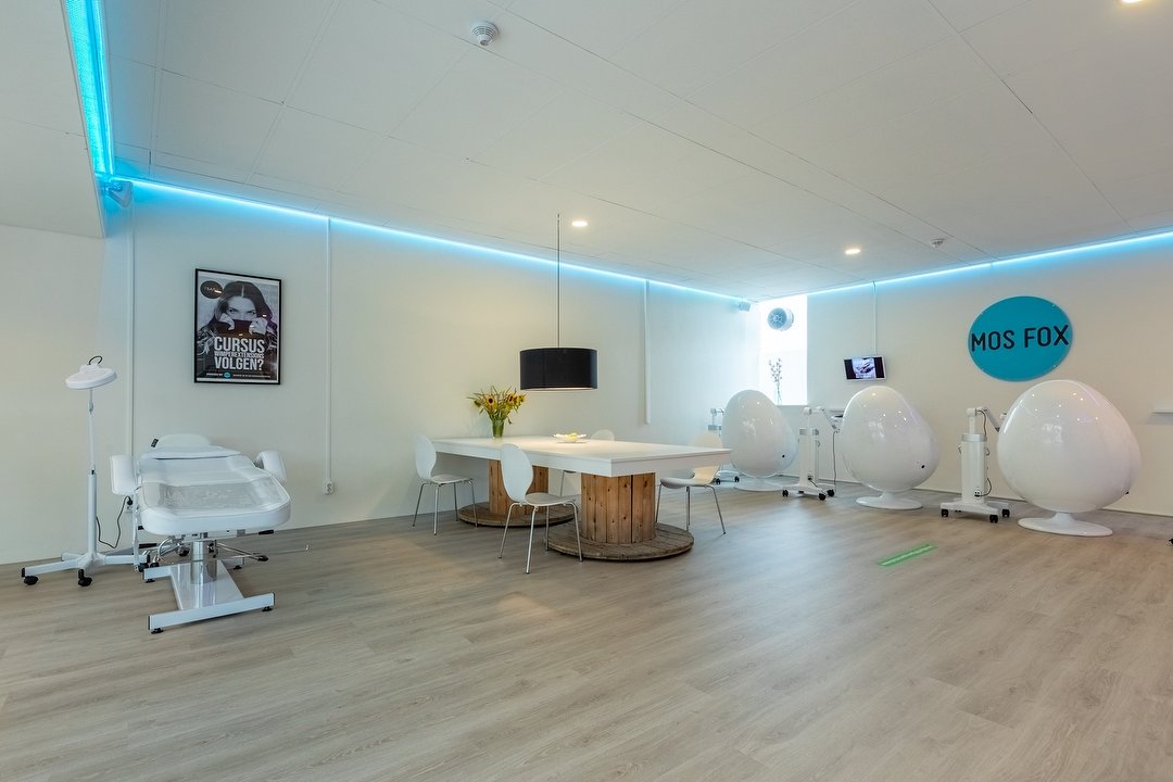 MosFox | Alphen aan den Rijn, Julianastraat, Zuid-Holland