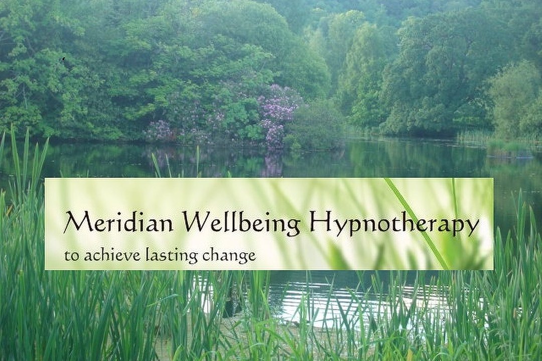 Meridian Wellbeing - Online Therapy, Stirling