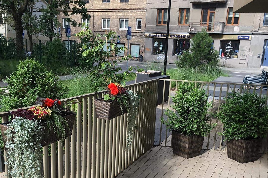 Grožio Sanatorija, Žverynas, Vilnius