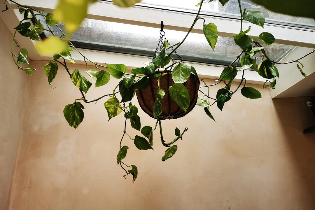 Simi Hairlab Hair Salon In King S Cross St Pancras London Treatwell