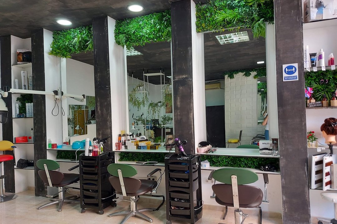 Peluquería Estética Bibo, Castellón
