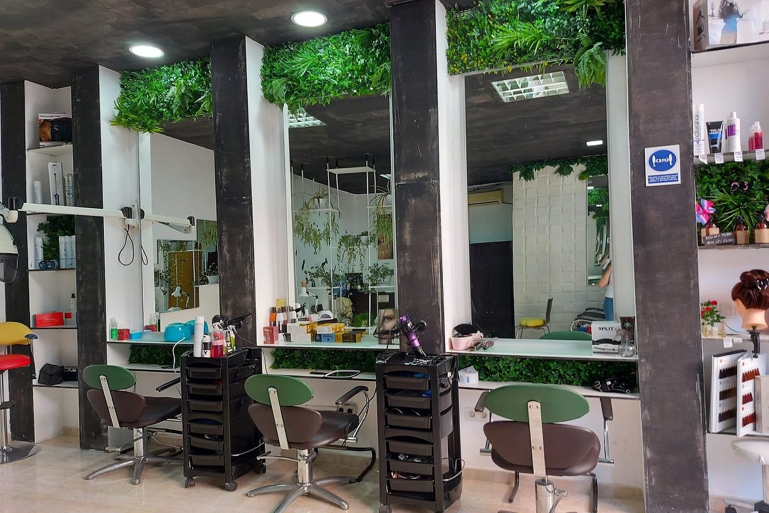 Peluquería Estética Bibo, Castellón, Comunidad de Valencia