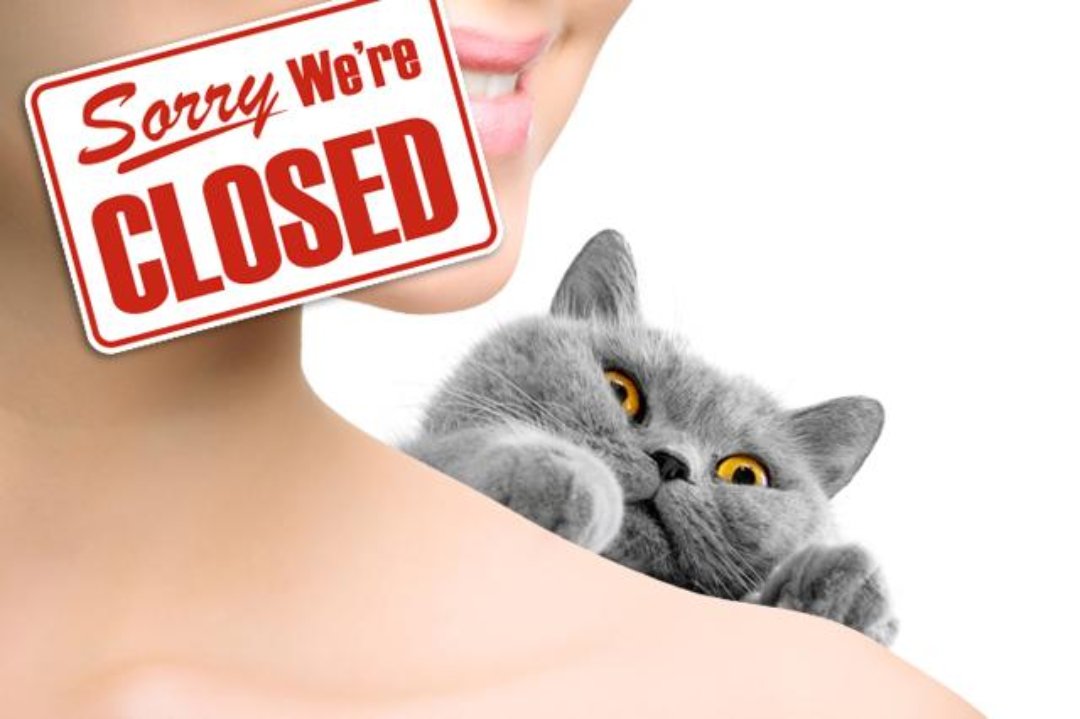 Clawdia's Beauty Pawlour, Catford, London