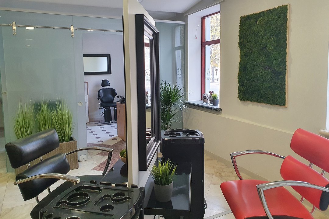 Grožio salonas Žemyna, Naujamiestis, Kaunas