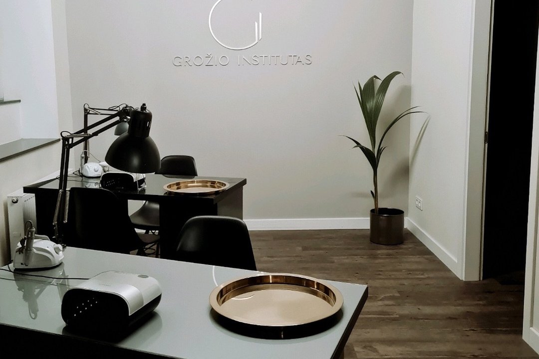 Grožio Institutas, Senamiestis, Vilnius