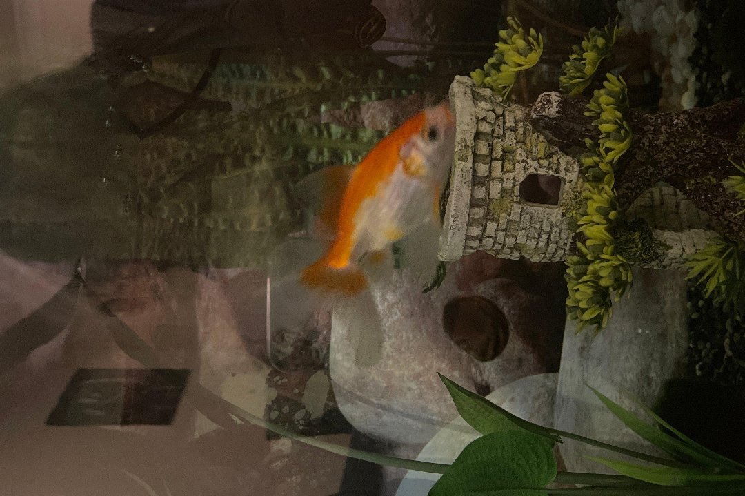 London Body Care, Isleworth, London