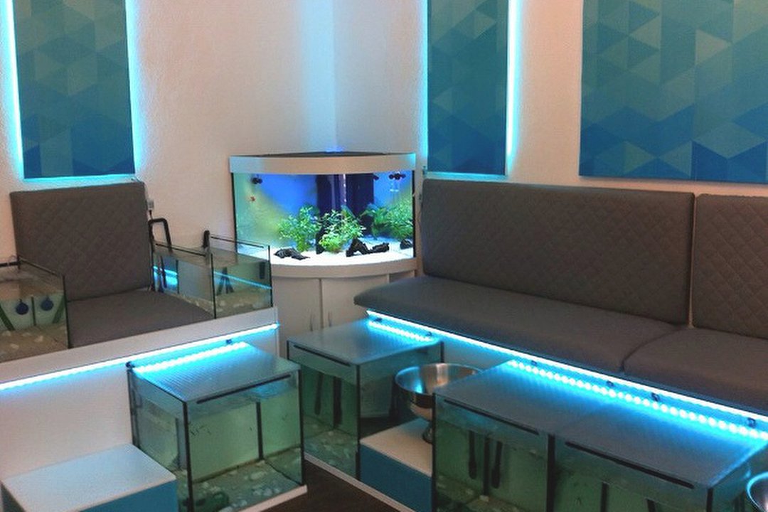 Aquatica Fish Spa, Innenstadtgürtel West/Nord/Ost, Nürnberg
