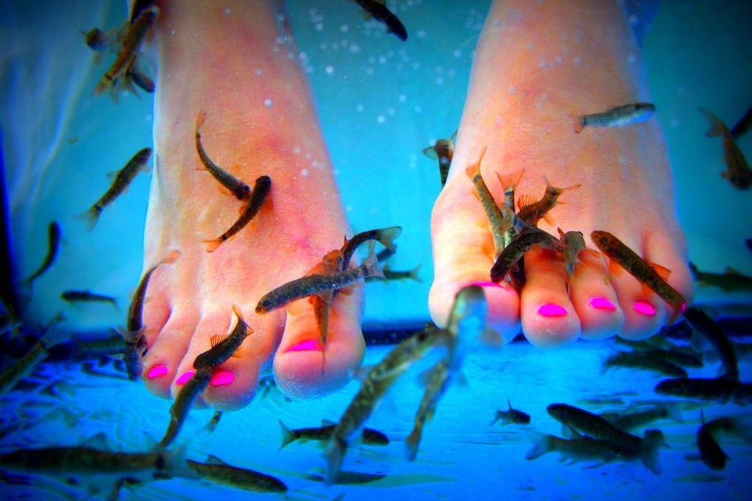 FishSpa RheinMain, Mörfelden-Walldorf