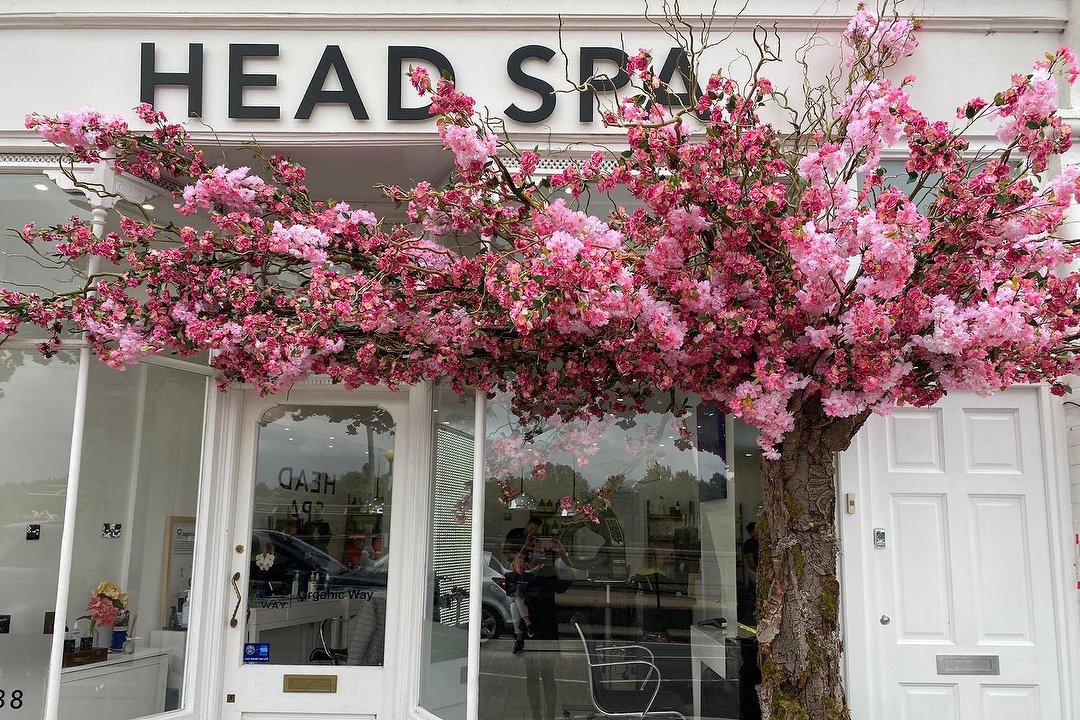 Vita Krafty Hair Salon in East Putney, London Treatwell
