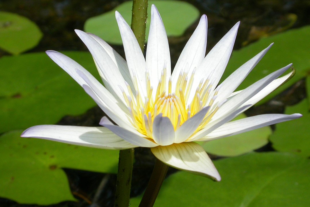 Duygads Massage Studio, Huddersfield, Kirklees