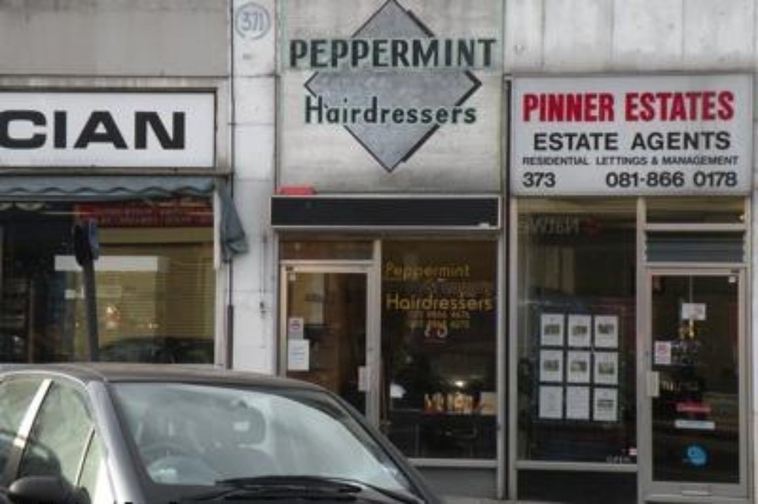 Peppermint Hair Design, Pinner, London