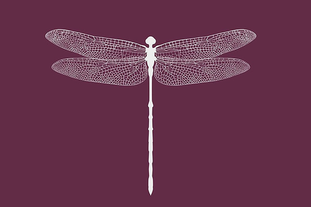 Dragonfly Natural & Holistic Therapies, Colchester, Essex