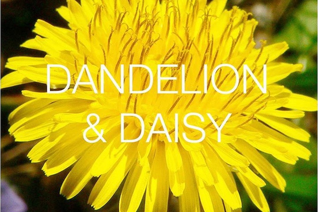 Dandelion and Daisy, Milton Keynes, Buckinghamshire