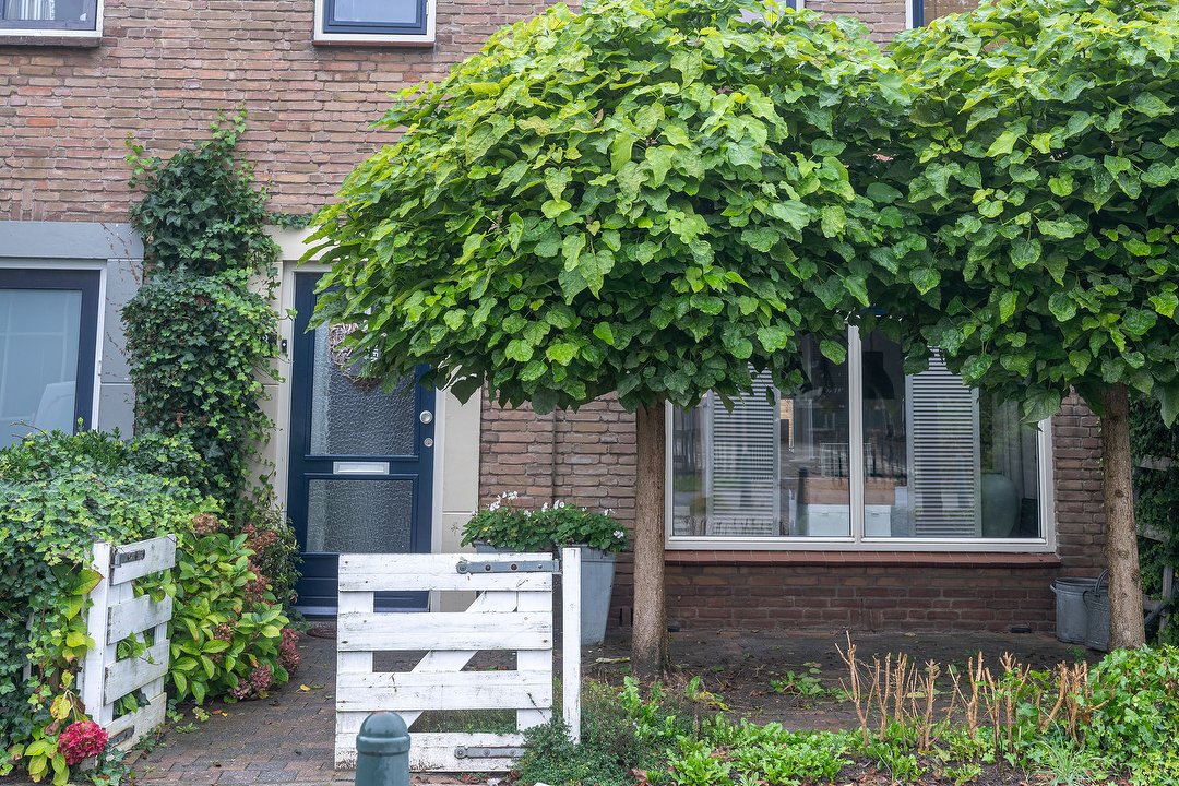 Chenzi, Oud-Beijerland, Zuid-Holland