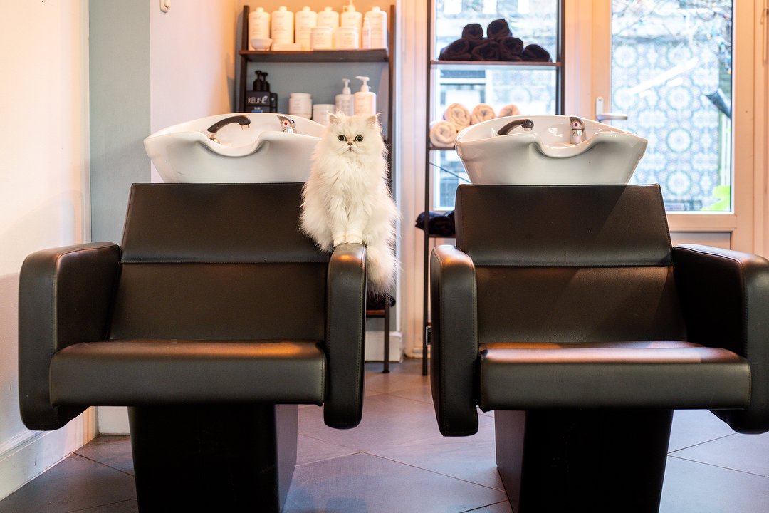 Liberty Trendy, Rijnstraat, Amsterdam